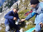 Il caffè di moka in alta quota - (Arch. De Monte Sergio)