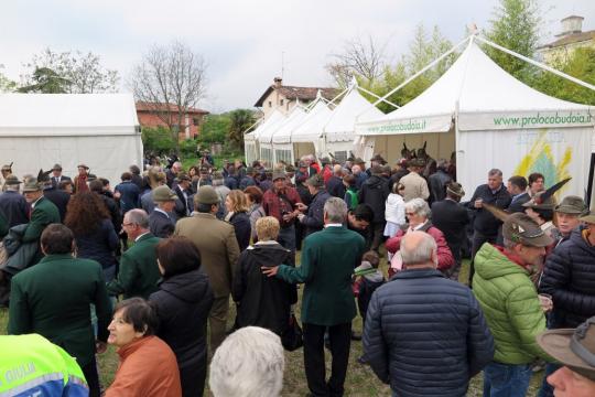 Tendoni del Rancio Alpino-Foto di G.Francescutti