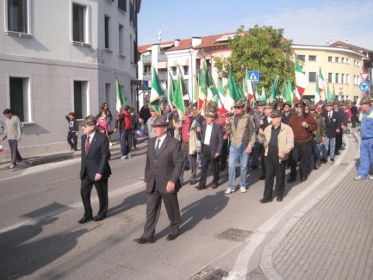 Il C.D.S. ed i Gagliardetti-(Arch. G.Francescutti)