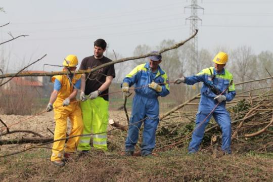 Recupero di alberi con l'ausilio di corde