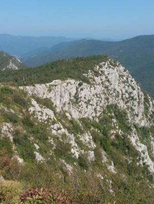 -Foto di Macuz Roberto -Foto di Macuz Roberto