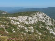 -Foto di Macuz Roberto -Foto di Macuz Roberto